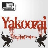 Hearing Voices (DJ Litespeid Remix)