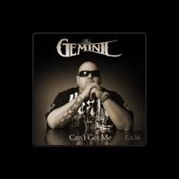 Big Gemini
