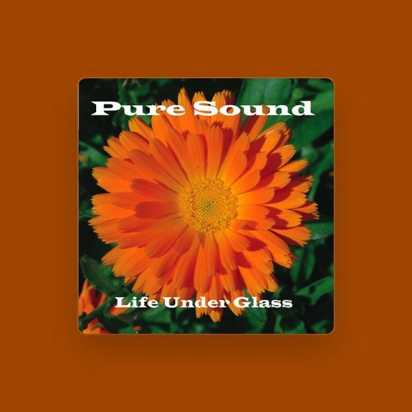 Pure Sound