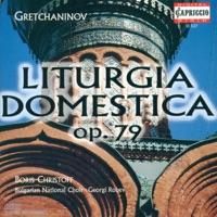 The Liturgy of St. John Chrysostom No. 3, Op. 79: Song of the Cherubim
