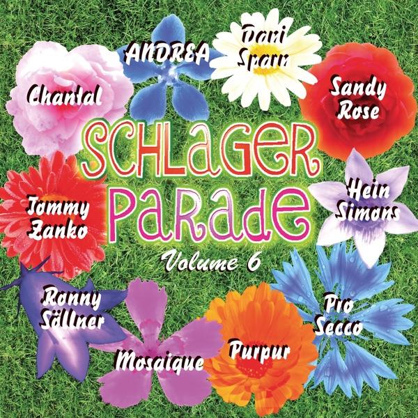 Schöne Männer (Album Version)