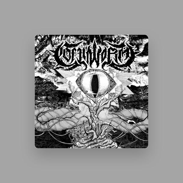 Coffinworm