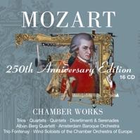 Serenade No. 12 in C Minor, K. 388, “Nacht Musique”: I. Allegro
