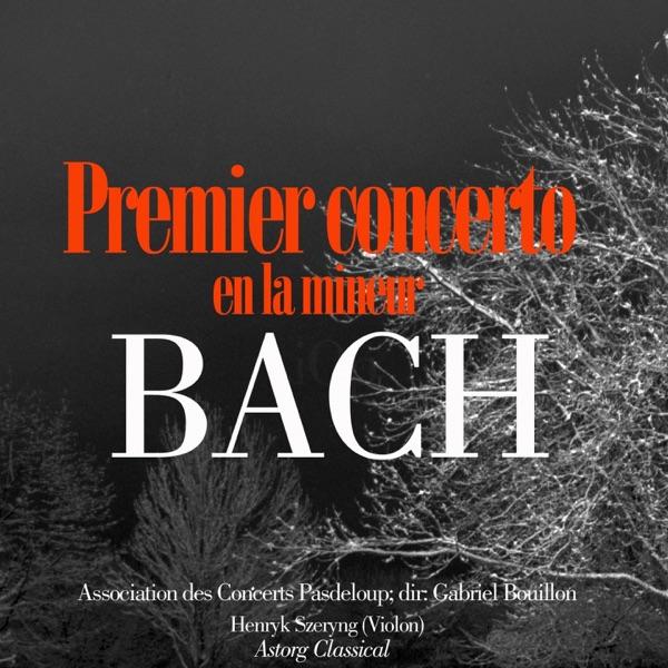 Premier Concerto en la mineur - I. Allegro Non Tanto