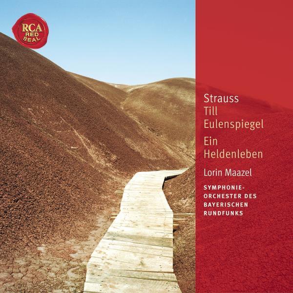 Ein Heldenleben, Op 40: IV. Des Helden Walstatt