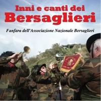 Il 29 luglio