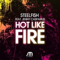 Hot Like Fire (Andrew Winston Mix)
