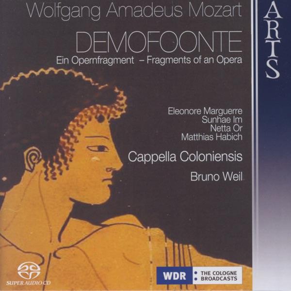 Les Petits Riens, KV 229b - No. 9 Andantino