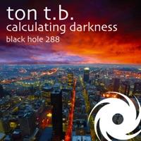 Calculating Darkness (Radio Edit)