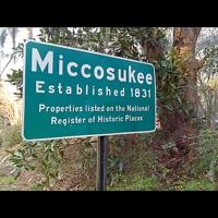 Miccosukee in My Mind