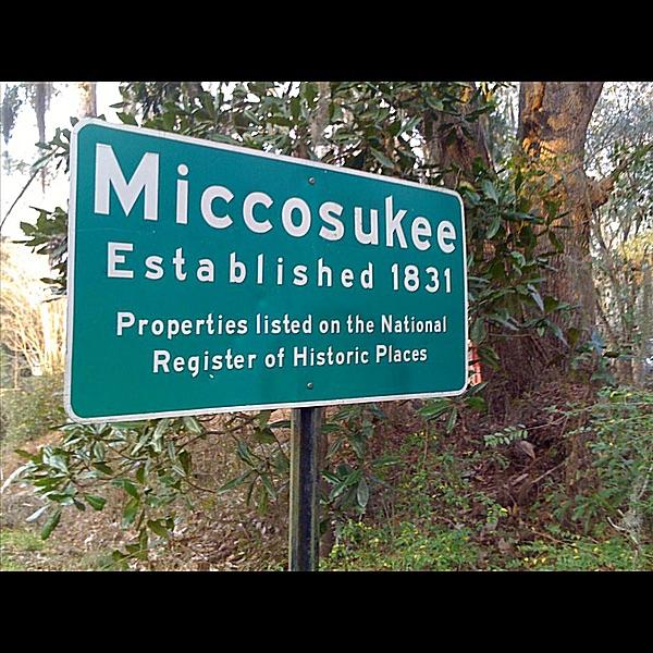 Miccosukee in My Mind