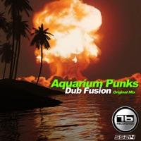 Dub Fusion