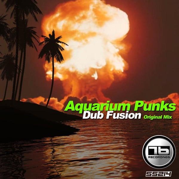 Dub Fusion