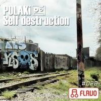 Self destruction (original mix)