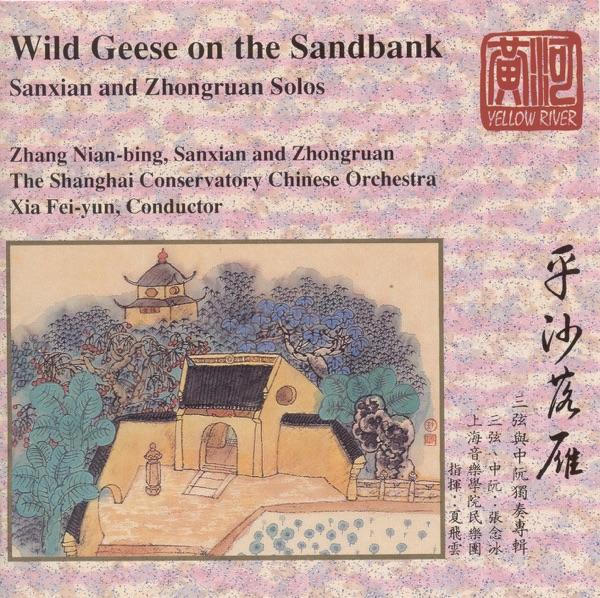 Wild Geese On the Sandbank