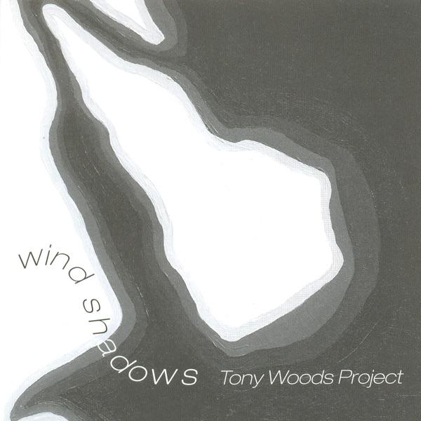Wind Shadows