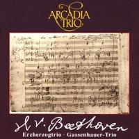 Klaviertrio No. 4 B-Dur "Gassenhauertrio", Op. 11: III. Allegretto
