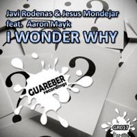 I Wonder Why (Ivan Gomez Lights Off Dub Mix)