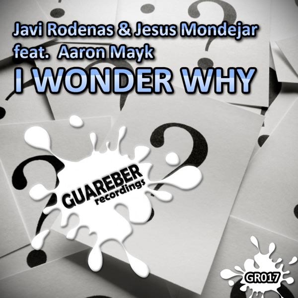 I Wonder Why (Ivan Gomez Lights Off Dub Mix)