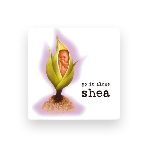 Shea