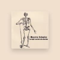 Maestro Echoplex