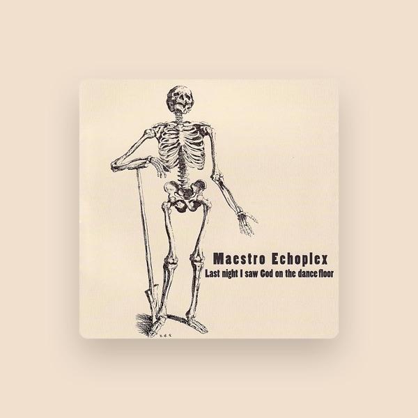 Maestro Echoplex