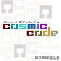 Cosmic Code