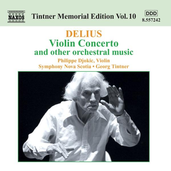 Violin Concerto: Maestoso -