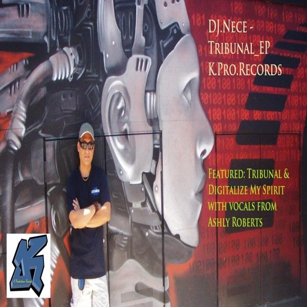 Digitalize My Spirit (DJ.Nece Dub)