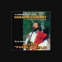 Nestor "Pueblo" Celiz
