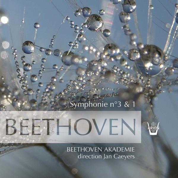 Symphonie No. 1 en do majeur : Finale. Adagio, Allegro molto e vivace, Op. 21