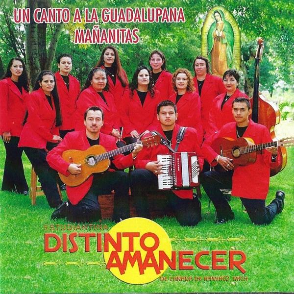 Mi Virgen Ranchera