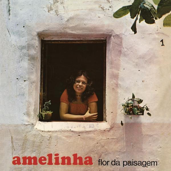 Cintura Fina