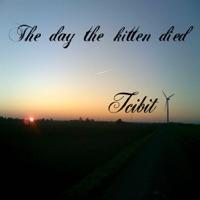 The Day The Kitten Died