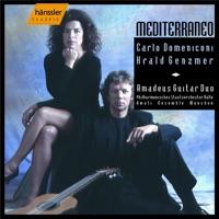Concerto for 2 Guitars In G Major: III. Vivace