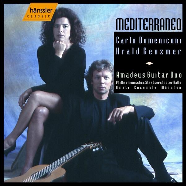 Concerto for 2 Guitars In G Major: III. Vivace