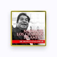 Mariachi Los Charros de Ameca de Roman Palomar