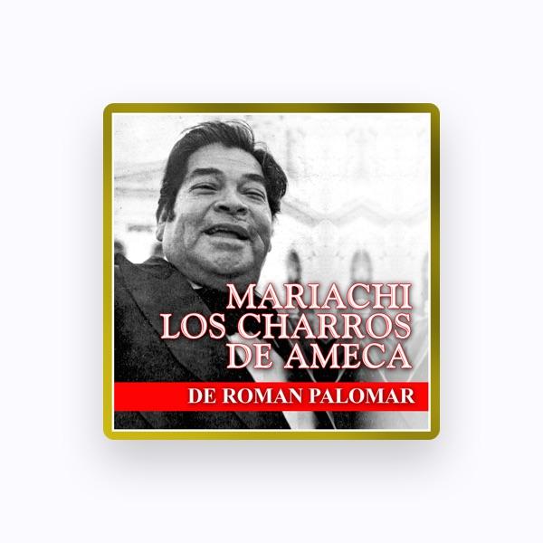 Mariachi Los Charros de Ameca de Roman Palomar