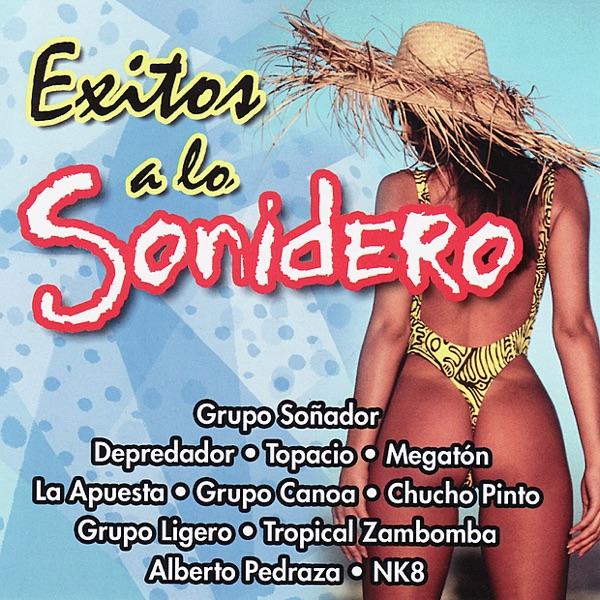 Exitos a Lo Sonidero Mix