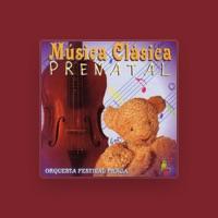 Orquesta Festival Praga