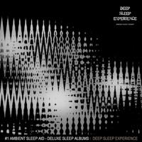 Deep Sleep II: Deep Sleep Experience