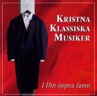 Strommar Av Regn