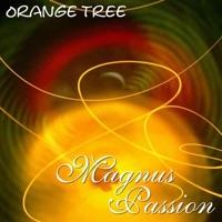 Orange Tree