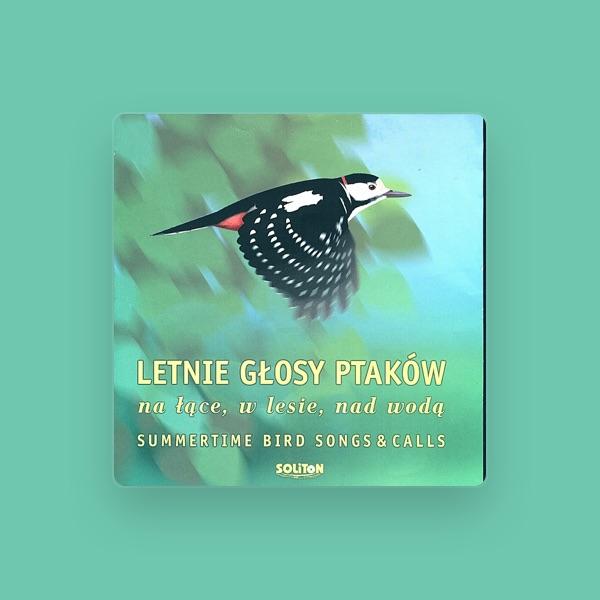 Letnie Głosy Ptaków