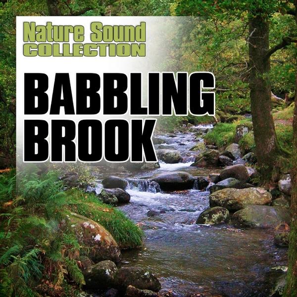 Gentle, Quiet Brook