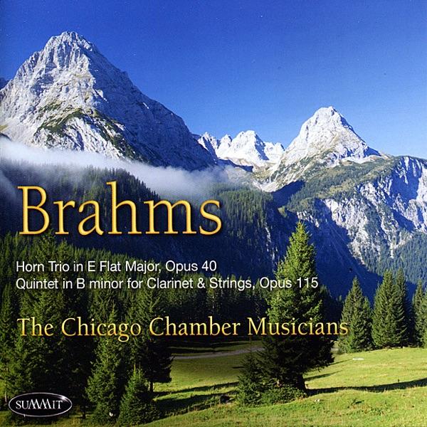 Quintet in B Minor for Clarinet and Strings, Op. 115: Adagio