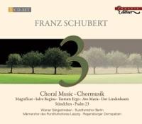 Ellen's Gesang III (Ave Maria!), Op. 56, No. 6, D. 839, "Hymne an Die Jungfrau"