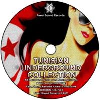 Tropical Jungle (Jed Emanson Minimalemix)