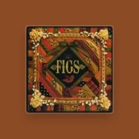 The Figs