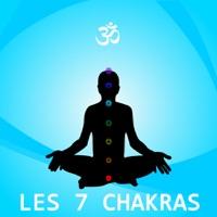 Chakra n.3, Sens du Respect et de la Dignité de l'Esprit (Healing Waves)